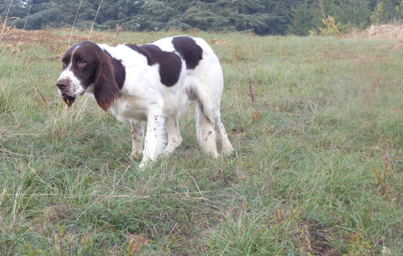 Uno de la passion du poete