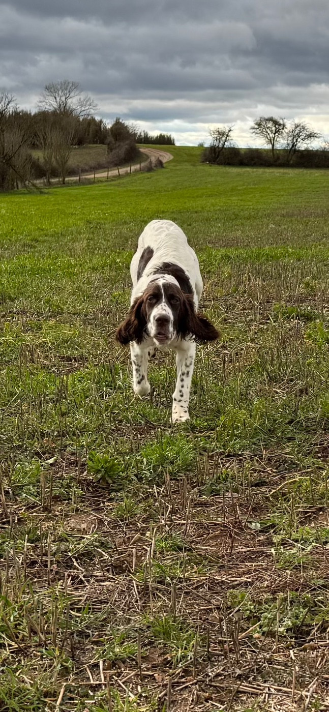 Arley De La Coulee Ayguebelle